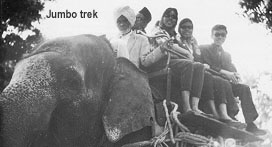 Elephant trek