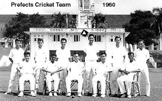 LimCT - cricket 60