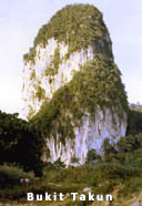 Bukit Takun
