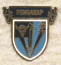 VI Scout Badge
