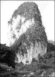 Bukit Takun
