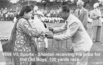 Shaidali at VI Sports