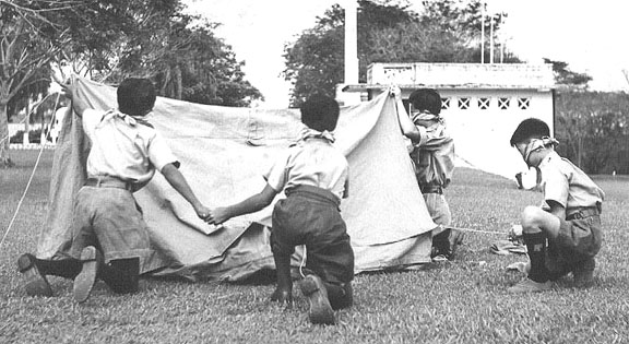 Pitching a Tent, 1954
