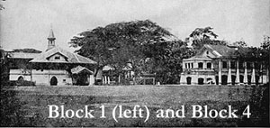 Block 1 and Block 4
