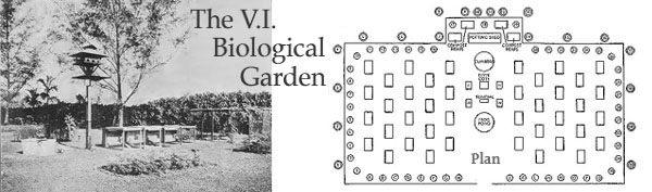 The V.I. Biological Garden
